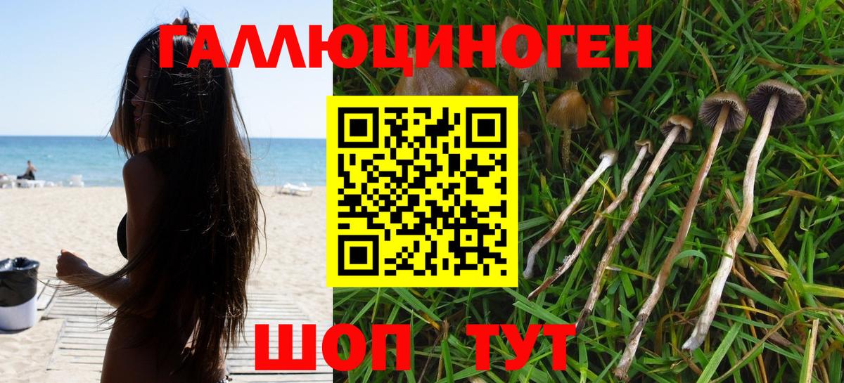Галлюциногенные грибы MAGIC MUSHROOMS  купить наркоту  Шатура  Вход с VPN  Галлюциногенные грибы прущие грибы 